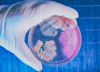 UFOP - MG abre inscrições de Processo Seletivo para docente na área de patologia clínica