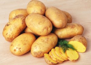 O natural nem sempre é sinônimo de inofensivo O natural nem sempre é sinônimo de inofensivo