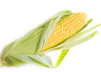 Só queria um milho na praia