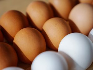 Ovo branco vs. Ovo marrom: Tem diferença além da cor? Ovo branco vs. Ovo marrom: Tem diferença além da cor?