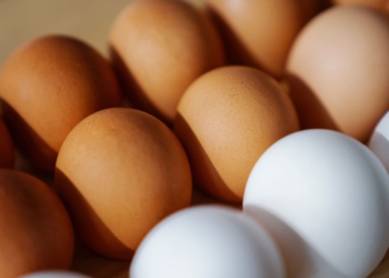 Ovo branco vs. Ovo marrom: Tem diferença além da cor?