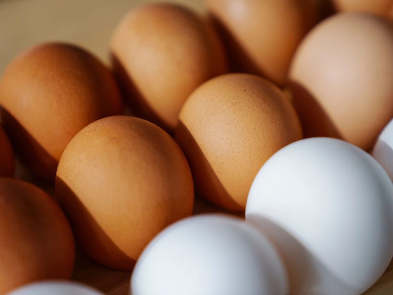Ovo branco vs. Ovo marrom: Tem diferença além da cor?
