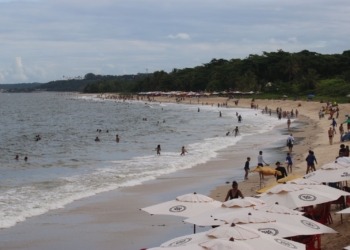 More no lindo litoral baiano e ainda empregado: Ibama realiza processo seletivo em Porto Seguro