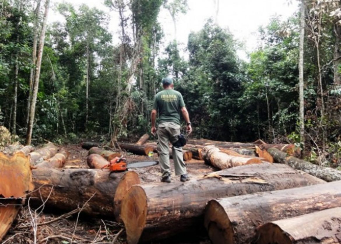 Concurso IBAMA 2023: confirmada autorização!