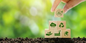 Tecnologia e sustentabilidade: 8 soluções inovadoras para preservar o meio ambiente