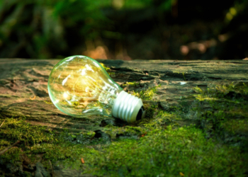 IFMG abre inscrições no Mestrado Profissional em Sustentabilidade e Tecnologia Ambiental