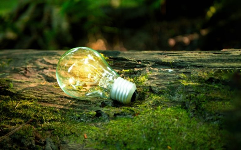 IFMG abre inscrições no Mestrado Profissional em Sustentabilidade e Tecnologia Ambiental