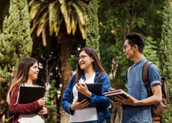 Confira 11 PROGRAMAS DE ESTÁGIO para iniciar a carreira em 2024 