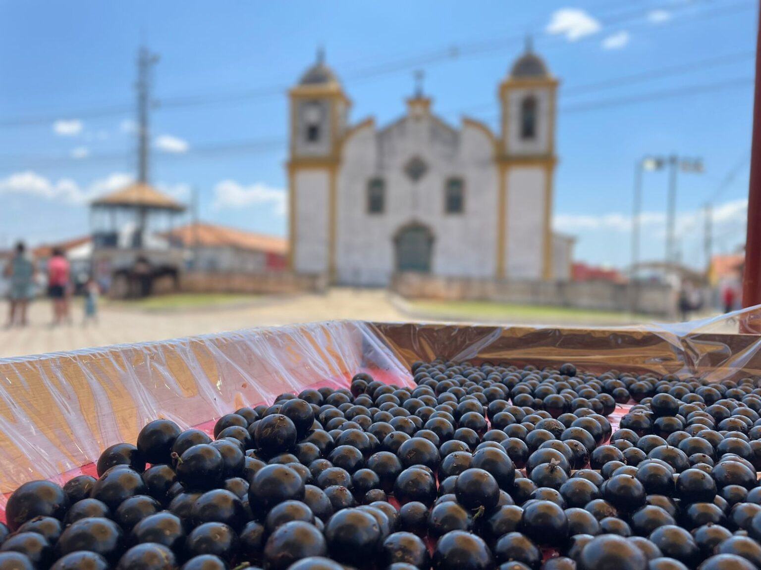 Capital da Jabuticaba, Ouro Preto teve desde refrigerante a brigadeiro da fruta