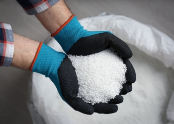 O sexto sentido, ops! gosto