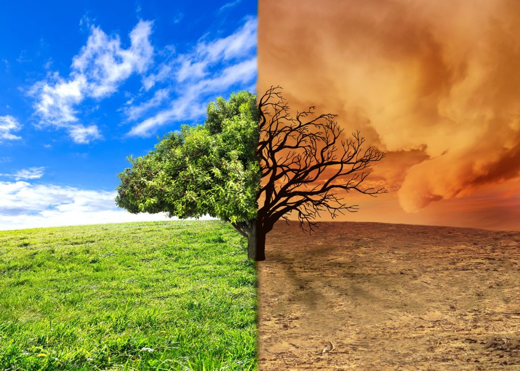 El Niño e as Alterações de Temperatura