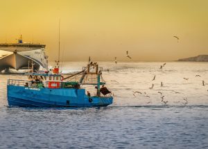 Quanto você se preocupa com a origem do pescado que consome? Quanto você se preocupa com a origem do pescado que consome?