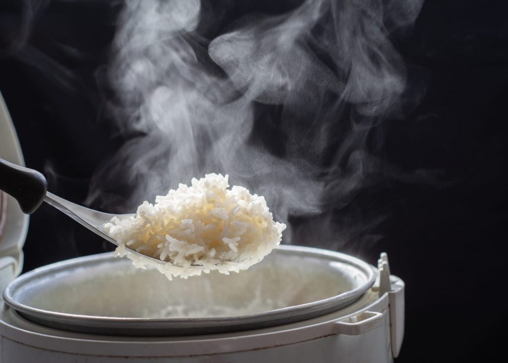 Spoiler: Harvard não condenou o arroz Spoiler: Harvard não condenou o arroz