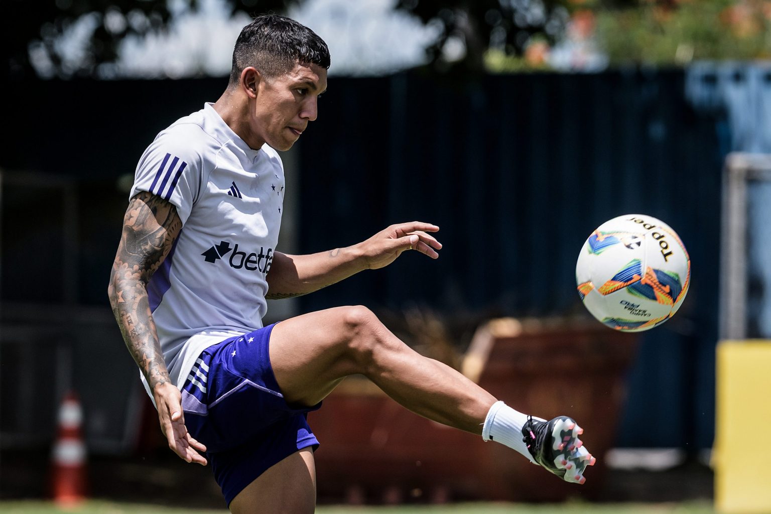 Guia do Campeonato Mineiro: Cruzeiro Guia do Campeonato Mineiro: Cruzeiro