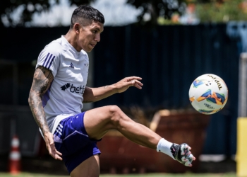 Guia do Campeonato Mineiro: Cruzeiro