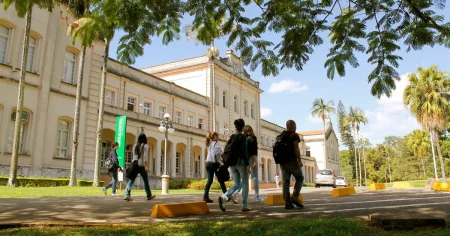 Amplifique sua formação: Universidade pública oferta 181 vagas de mestrado e doutorado
