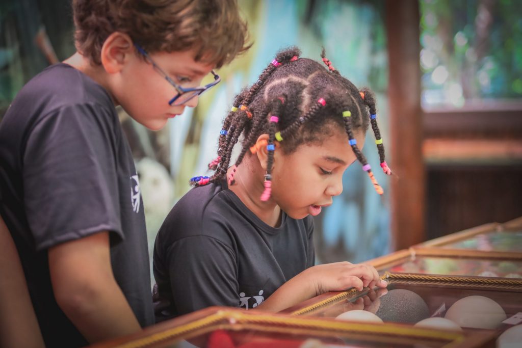 8º Prêmio Gerdau Germinar abre inscrições para projetos de educação ambiental para escolas em MG 8º Prêmio Gerdau Germinar abre inscrições para projetos de educação ambiental para escolas em MG