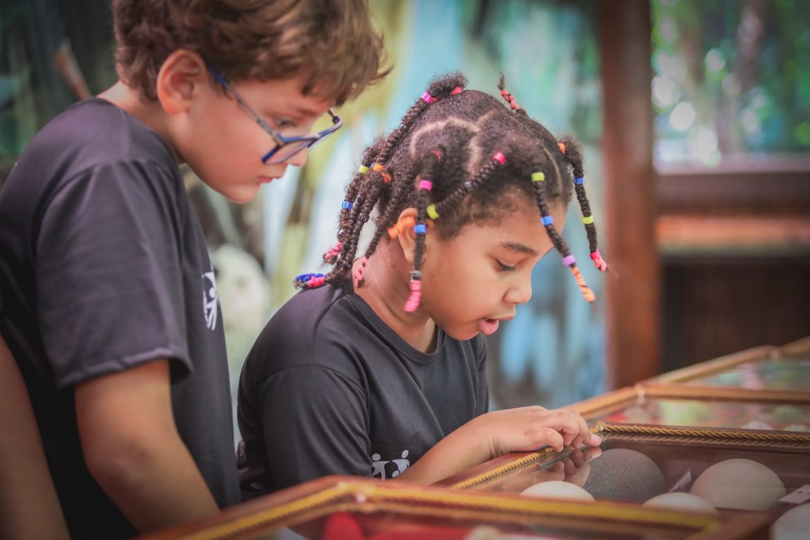 8º Prêmio Gerdau Germinar abre inscrições para projetos de educação ambiental para escolas em MG