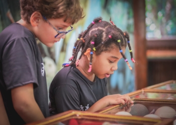 8º Prêmio Gerdau Germinar abre inscrições para projetos de educação ambiental para escolas em MG