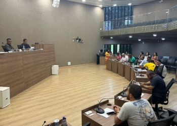 Câmara de Itabirito aprova fornecimento gratuito de repelente para gestantes