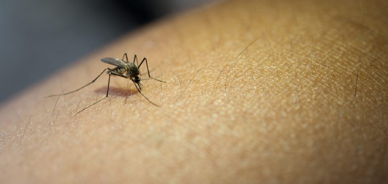Associação de Moradores de Ouro Preto participa de campanha contra a Dengue na cidade