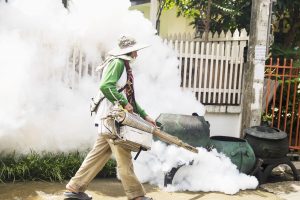 Fumacê começa a circular em Mariana como forma de combate ao Aedes aegypti Fumacê começa a circular em Mariana como forma de combate ao Aedes aegypiti