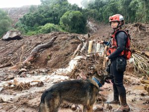 Corpo de Bombeiros Militar de Minas Gerais envia mais uma equipe para auxiliar nas buscas por desaparecidos no RS Corpo de Bombeiros Militar de Minas Gerais envia mais uma equipe para auxiliar nas buscas por desaparecidos no RS
