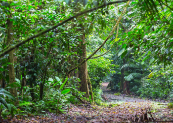 Polícia Militar apreende arma de fogo e prende suspeito em distrito de Mariana