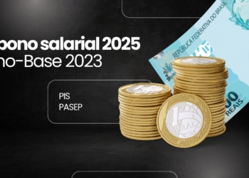 Abono Salarial 2025: confira como consultar e garantir o seu benefício