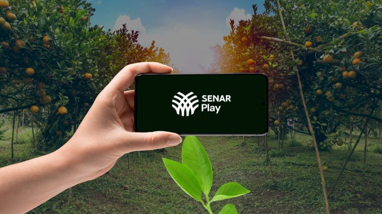 Senar Play abre inscrições para mais de 200 cursos gratuitos em diversas áreas do campo
