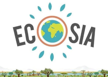 Conheça o Ecosia, buscador que transforma pesquisas em florestas