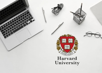 Como ter Harvard no seu currículo sem sair do sofá? Cursos on-line e gratuitos