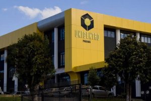 UNICENTRO tem 456 vagas para graduação gratuita em Letras Português e suas Literaturas e Bacharelado em Administração Pública UNICENTRO tem 456 vagas para graduação gratuita em Letras Português e suas Literaturas e Bacharelado em Administração Pública