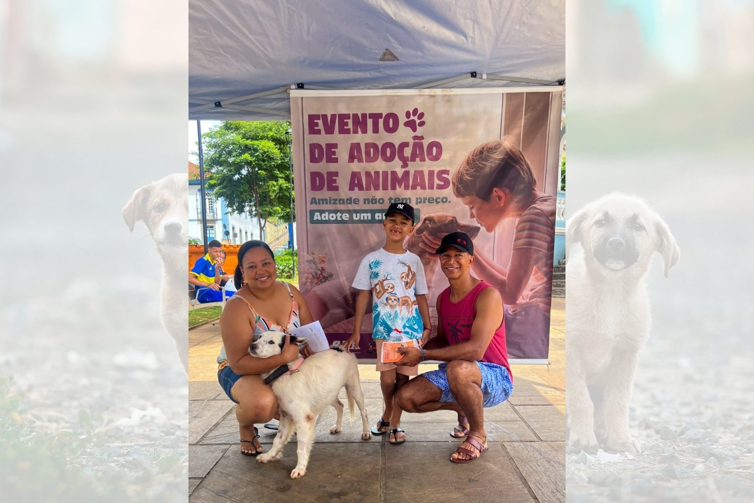 Todos os animais são adotados em evento realizado pela Prefeitura de Mariana Todos os animais são adotados em evento realizado pela Prefeitura de Mariana