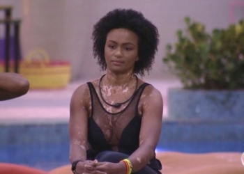 Big Brother Brasil, cultura do ódio e o lixo cultural gourmet aceitável