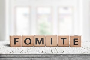 ‘Fômite’: a palavra que ganhou destaque na pandemia e na língua portuguesa 'Fômite': a palavra que ganhou destaque na pandemia e na língua portuguesa