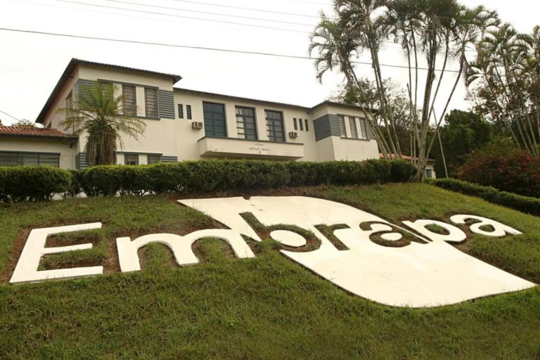 Conheça a e-Campo da Embrapa, a plataforma de cursos online para inovação no agronegócio
