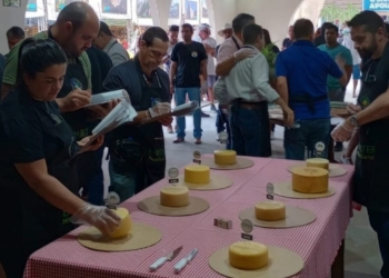 Inscrições abertas para o 3º Concurso Regional de Queijos Artesanais Mantiqueira de Minas