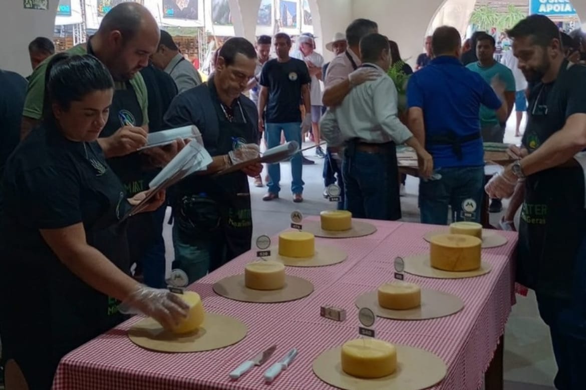 Inscrições abertas para o 3º Concurso Regional de Queijos Artesanais Mantiqueira de Minas