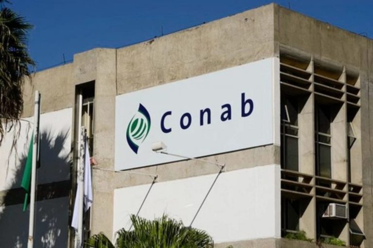 Concurso CONAB 2025: Edital abre 403 vagas para níveis médio e superior