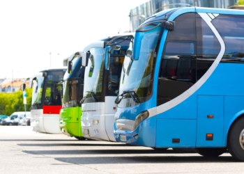 Você sabe qual é o plural de ‘ônibus’?