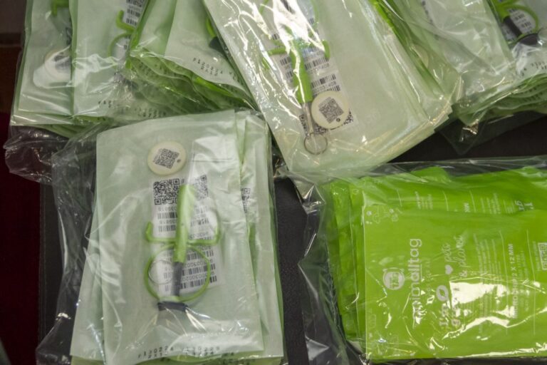 Prefeitura de Itabirito recebe microchips para manejo populacional de cães e gatos 