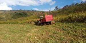 Prefeitura de Ouro Preto oferece Serviço de Máquinas Agrícolas para produtores rurais; inscrições estão abertas Prefeitura de Ouro Preto oferece Serviço de Máquinas Agrícolas para produtores rurais; inscrições estão abertas