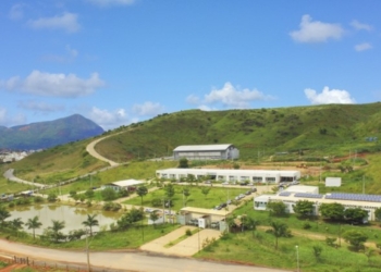 Curso técnico gratuito em Logística EaD do IFMG abre inscrições no Campus Governador Valadares com 60 vagas