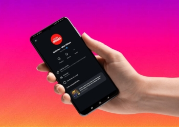 Por que você precisa entrar no nosso canal de transmissão no Instagram (e no WhatsApp)?