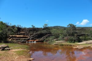 Plano Municipal da Mata Atlântica é aprovado pelo Codema de Ouro Preto Plano Municipal da Mata Atlântica é aprovado pelo Codema de Ouro Preto