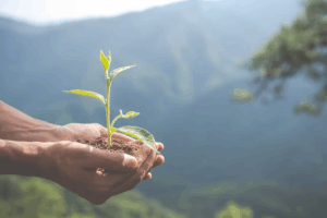 Itabirito institui a Semana do Meio Ambiente com foco na sustentabilidade e valorização dos catadores de recicláveis