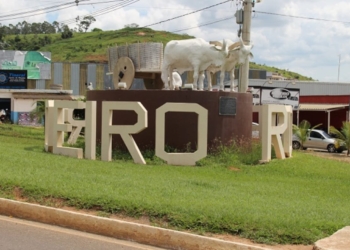 Rodeiro-MG abre processo seletivo com vagas temporárias em 12 cargos públicos