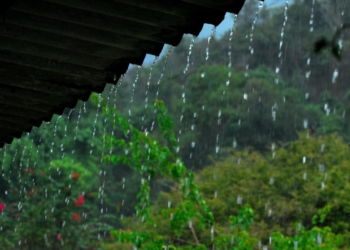 Você ama dias chuvosos? Descubra o motivo e o nome disso