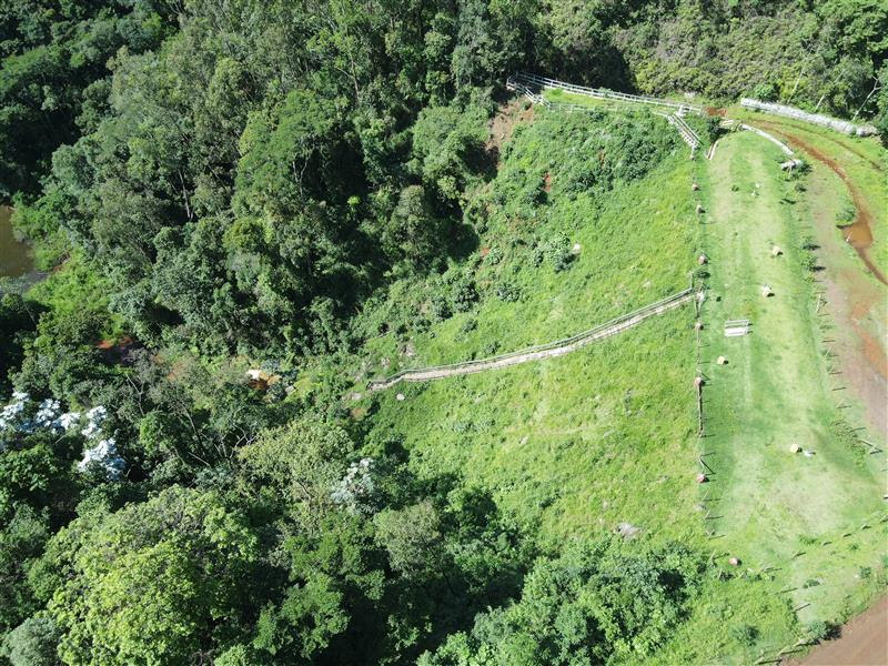 Vale inicia descaracterização da barragem 7A em Nova Lima